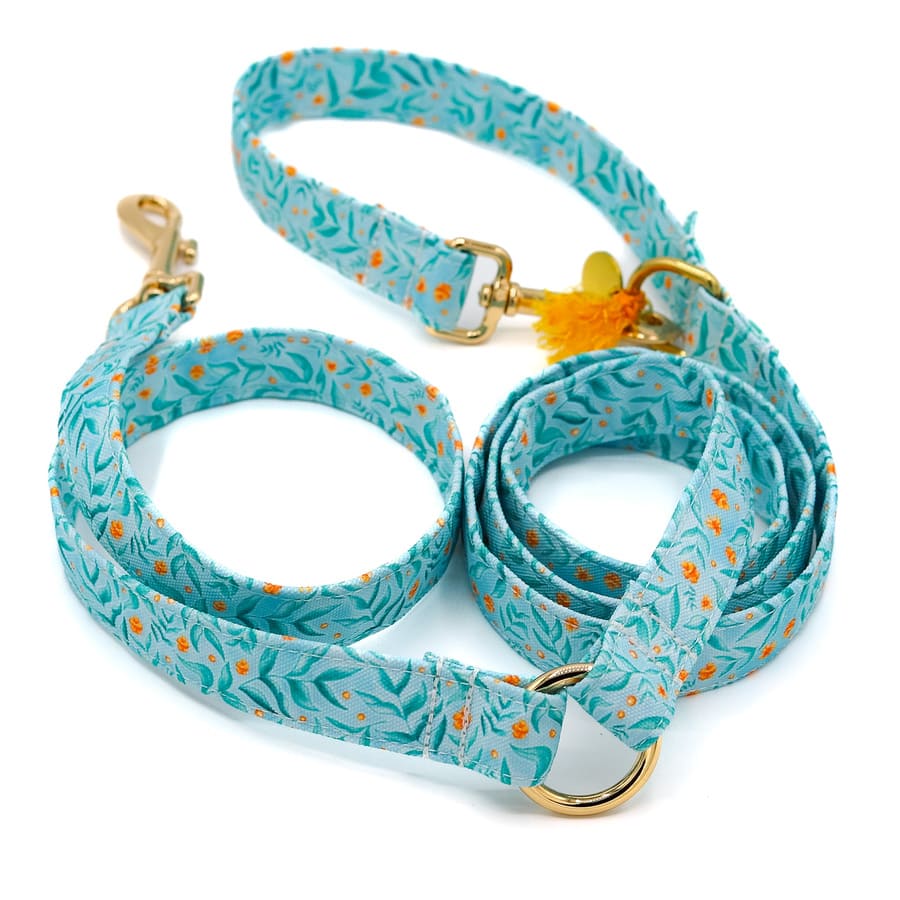 laisse-multiposition